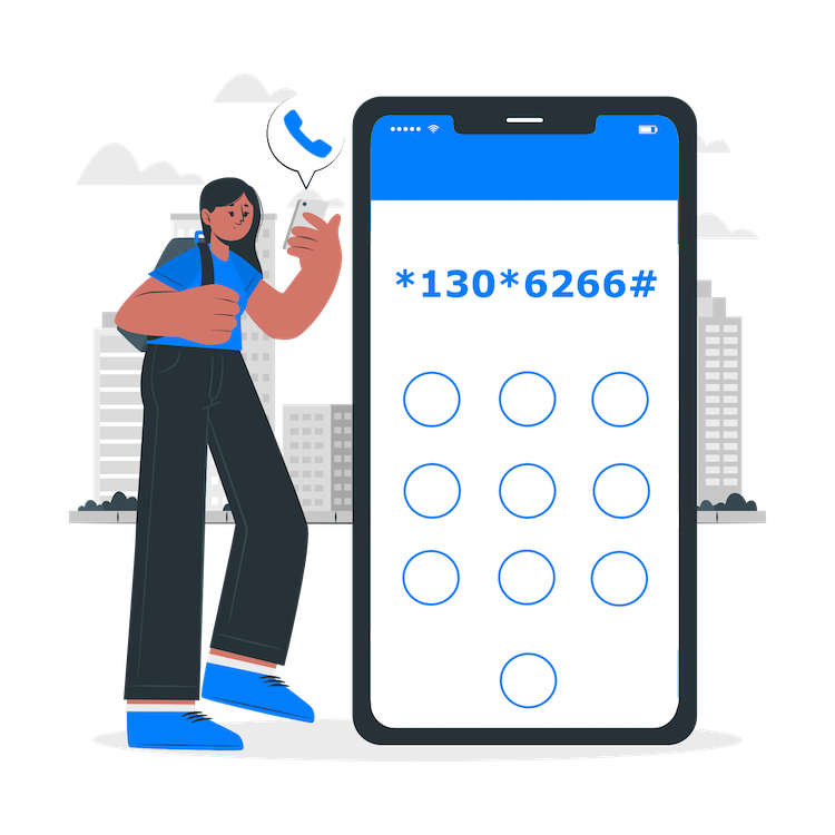 dial *103*6266#